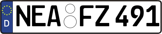 NEA-FZ491