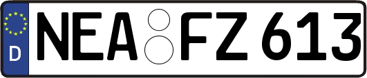 NEA-FZ613