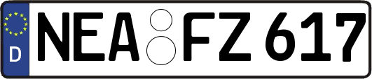 NEA-FZ617