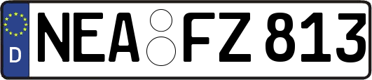 NEA-FZ813
