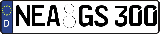 NEA-GS300