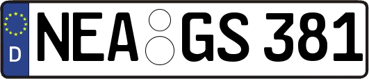 NEA-GS381
