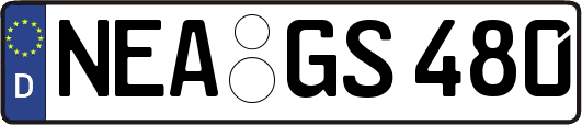 NEA-GS480