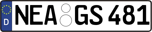 NEA-GS481