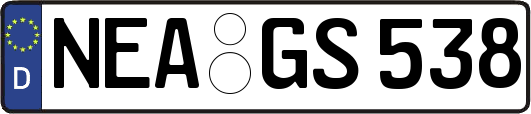 NEA-GS538
