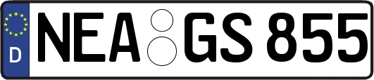NEA-GS855