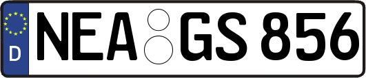 NEA-GS856