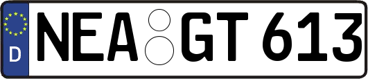 NEA-GT613