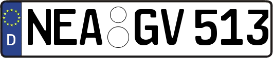 NEA-GV513