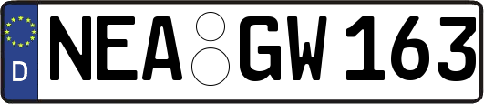 NEA-GW163