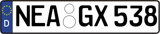 NEA-GX538