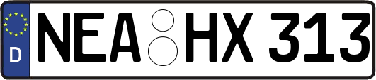 NEA-HX313