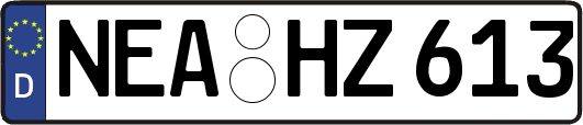 NEA-HZ613