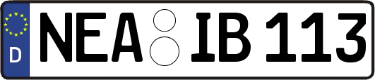 NEA-IB113