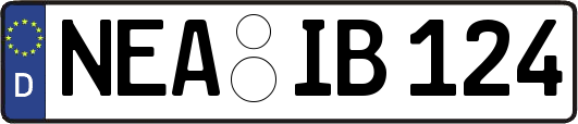 NEA-IB124