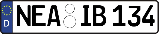 NEA-IB134