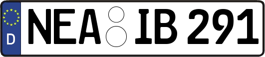 NEA-IB291