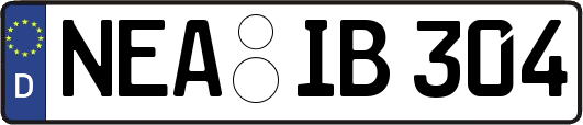NEA-IB304