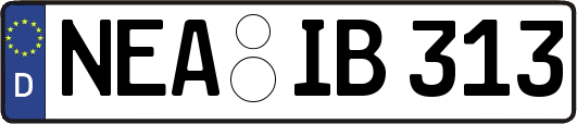 NEA-IB313