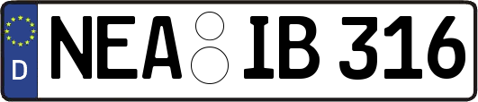 NEA-IB316