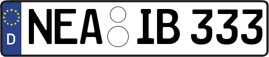 NEA-IB333