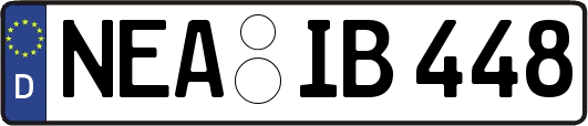 NEA-IB448