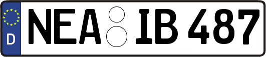 NEA-IB487