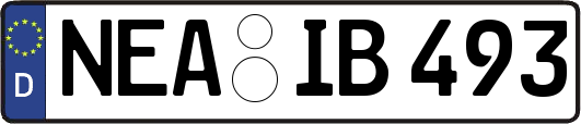 NEA-IB493