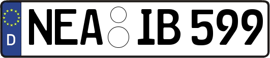 NEA-IB599