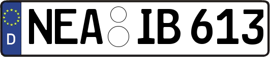 NEA-IB613
