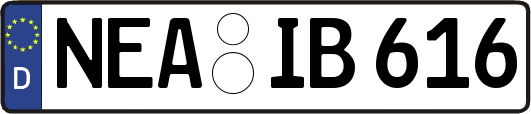 NEA-IB616