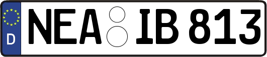 NEA-IB813