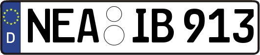 NEA-IB913