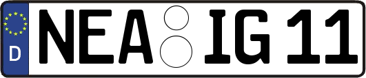 NEA-IG11