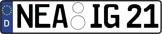 NEA-IG21