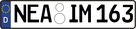 NEA-IM163