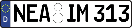 NEA-IM313