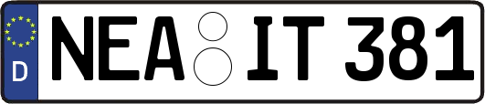 NEA-IT381