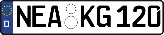 NEA-KG120