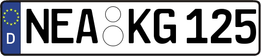 NEA-KG125