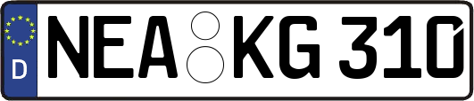 NEA-KG310
