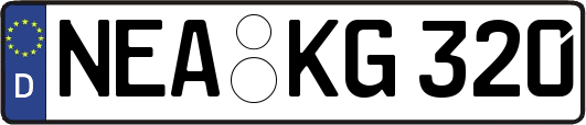 NEA-KG320