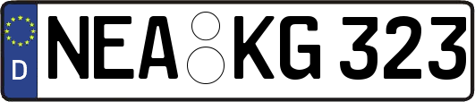 NEA-KG323
