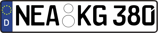 NEA-KG380