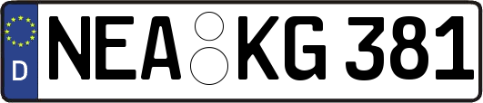 NEA-KG381