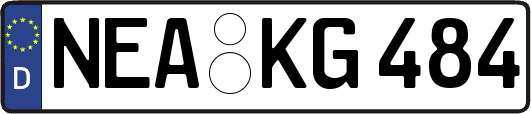 NEA-KG484