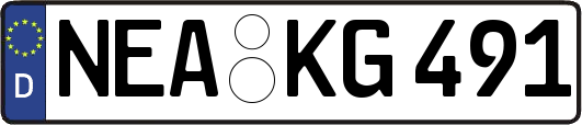 NEA-KG491