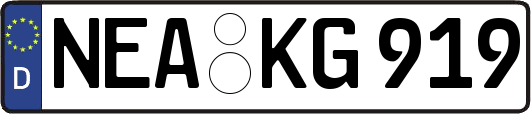 NEA-KG919