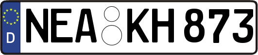 NEA-KH873