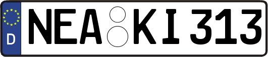 NEA-KI313